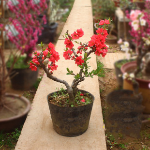 �ذ꺣�Ļ��������� ���Ϙ����ܾGֲ�� �ɝ������҃Ⱥ��Ę���