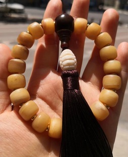 ��ˇ&bull;���� &nbsp;�����һ�w��ͨ��¹�Ǹ�������