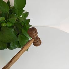 SҹuľĦĦNôNľ|ăuľôN