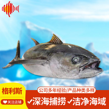 ������r���l ��Ŀ���~��Ƭ  ���~���� ���Ŀ���~