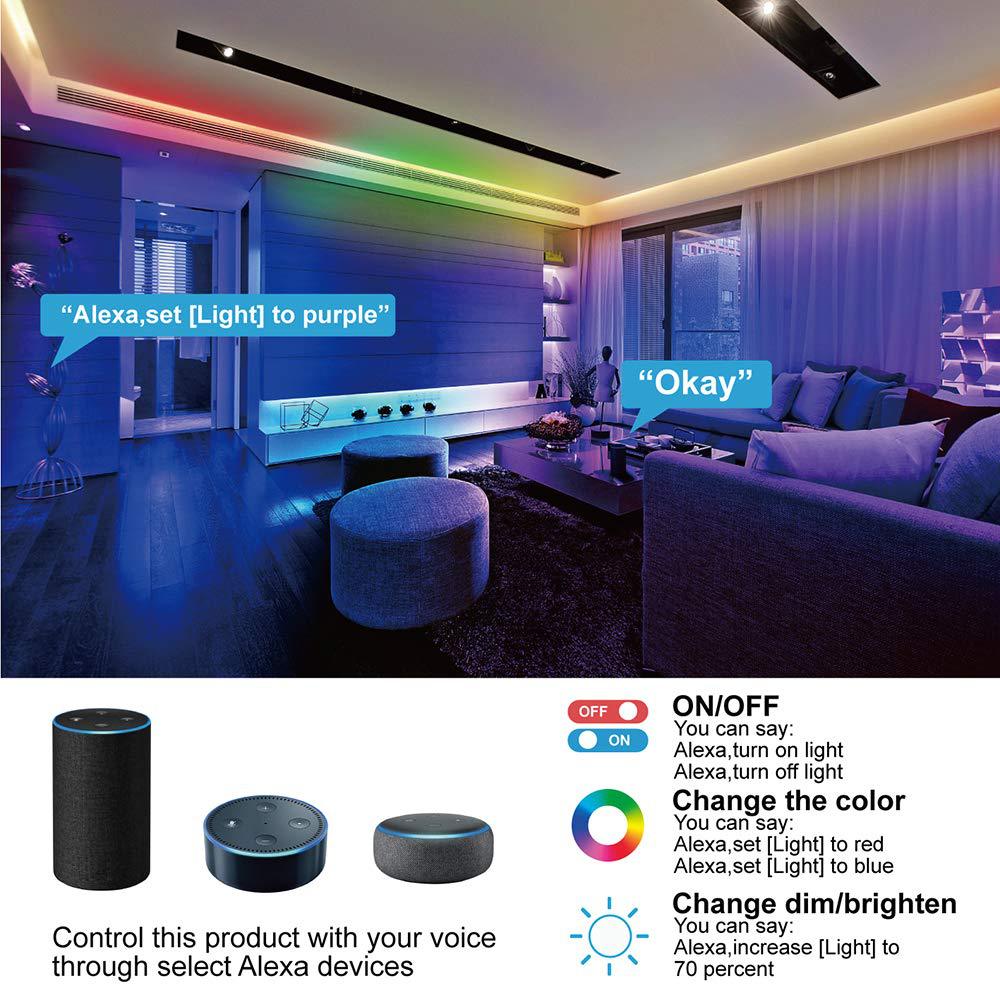 71wAg8n2OOL._SL1000_