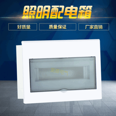 QYE泉源YLK型照明箱 12路照明终端配电箱 暗装透明开关盒配电盒|ru