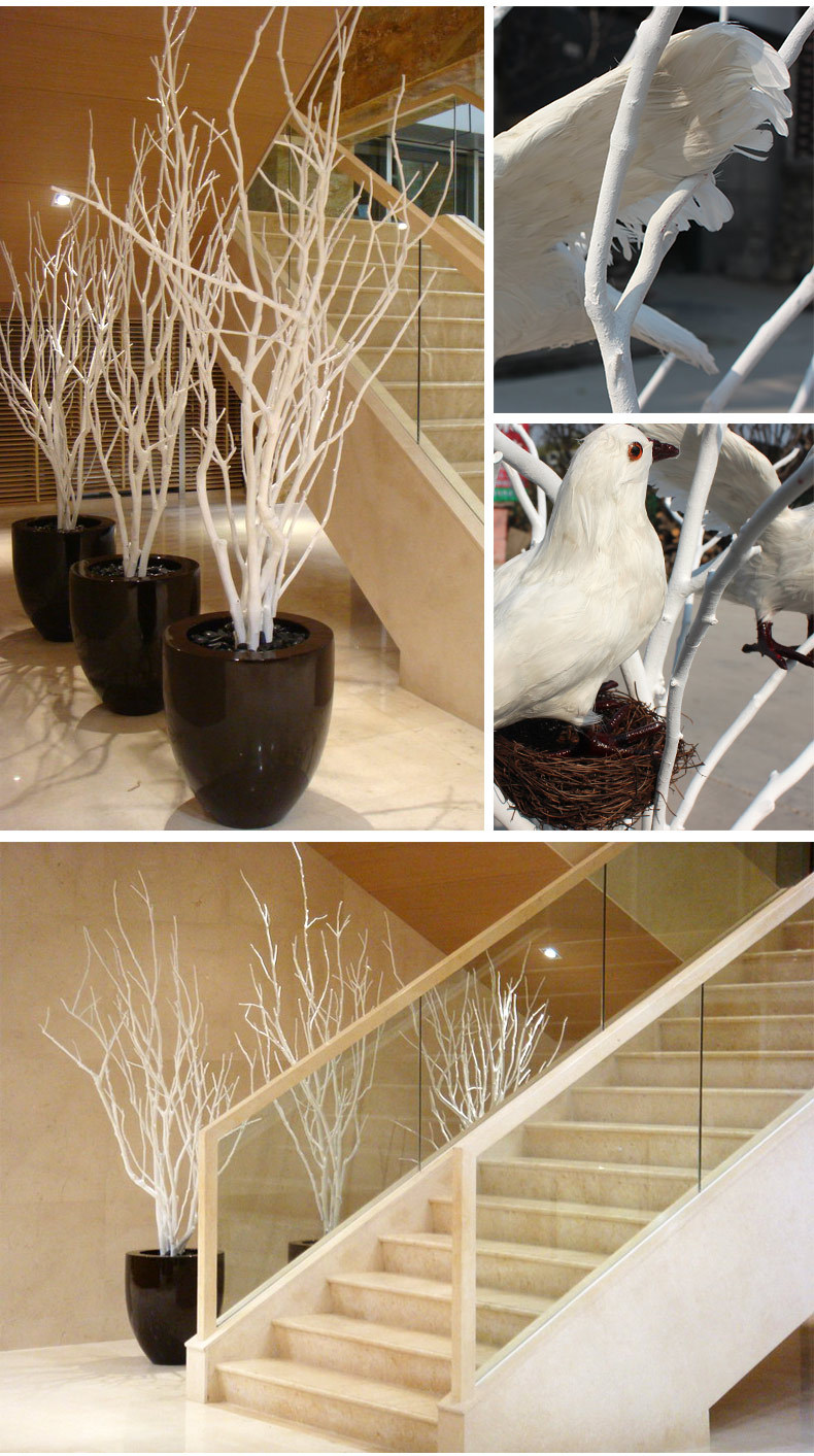 TB2dijtvrJmpuFjSZFwXXaE4VXa_!!