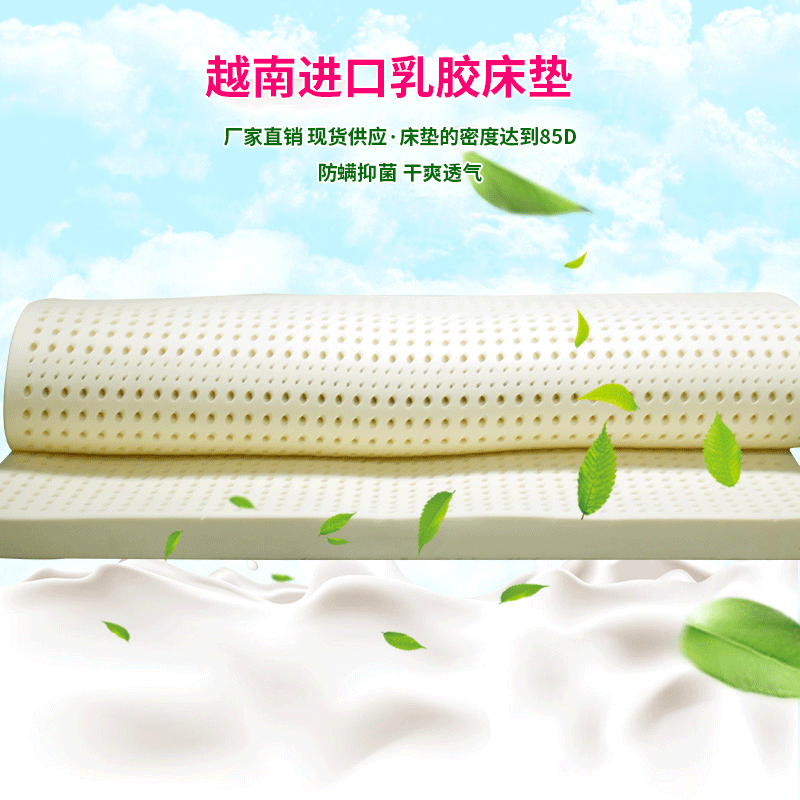 梦巴里厂家直销天然乳胶床垫 1.5米x2米x5厘米老人乳胶床垫|ms