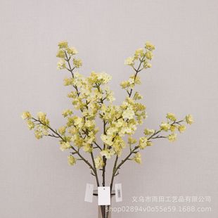 �S��ֱ�N���l �����滨 ���滨 �ٻ� ��c�b� �ҾӔ[�� ���