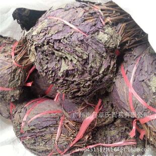 紫蘇葉紫蘇葉圖片 海量高清紫蘇葉紫蘇葉圖片大全 阿里巴巴