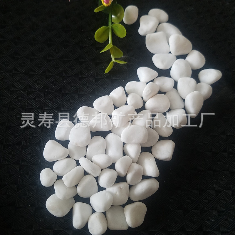 20190422_124631_副本.jpg