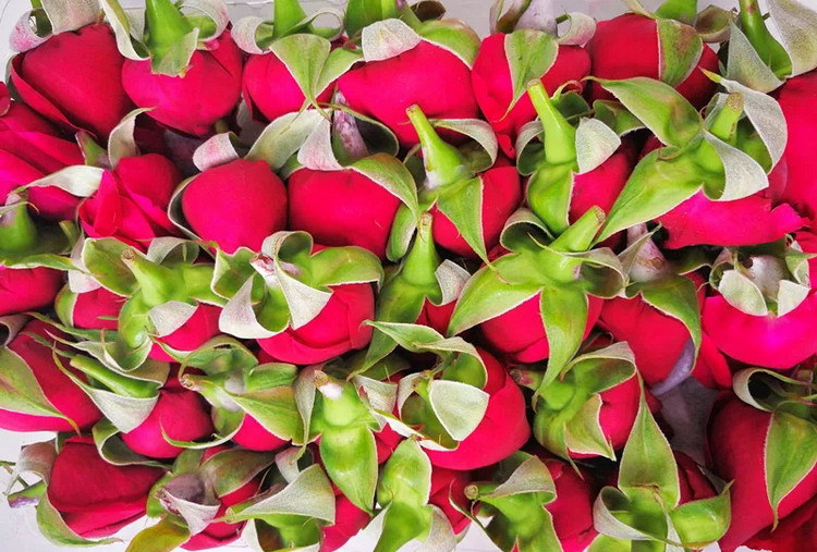 Mo Hong Rose Bud Tea Dried Yunnan Rosa Rugosa Flower Crowns Freeze Dried Edible Herbal Floral Tea 30g Jar specifications