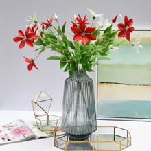 ���Q������ާ���ֲ��ݻ�ƿ�bW���L��Ҿ���[���F��ɏ��