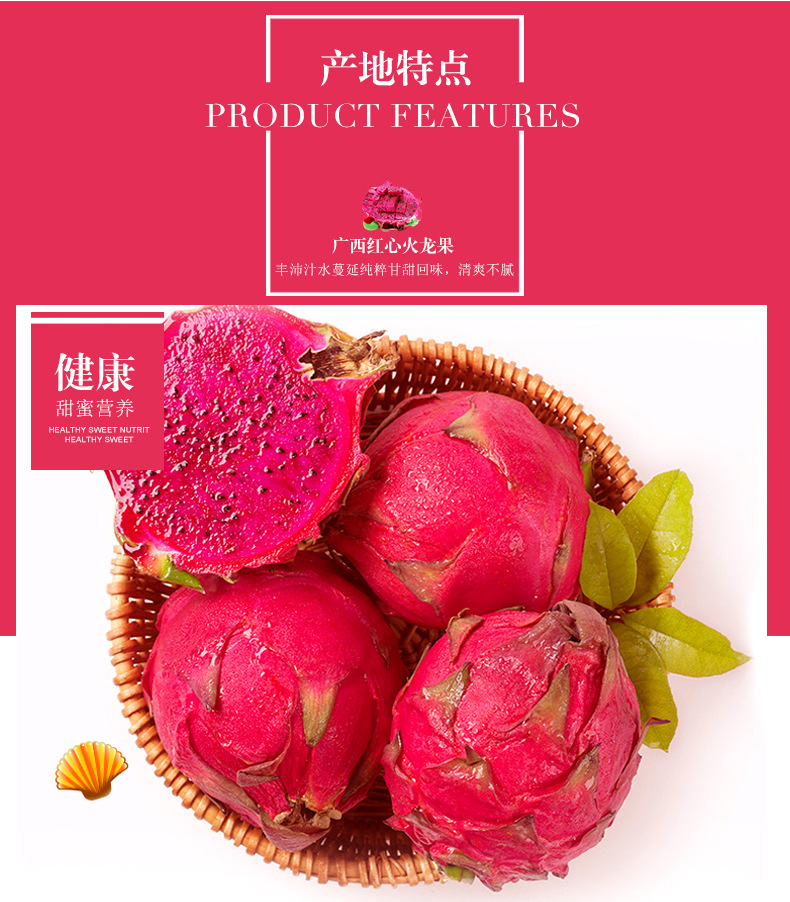火龙果_03.jpg