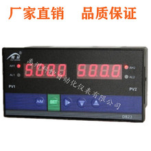 HX-WP-D923-011/022-23/23-HL/HL-P雙回路數顯溫控儀器