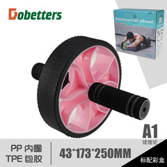 Dumbbell Home Ab Roller Fitness Wheel Silent Function Fitness Roller Ab Roller Wholesale