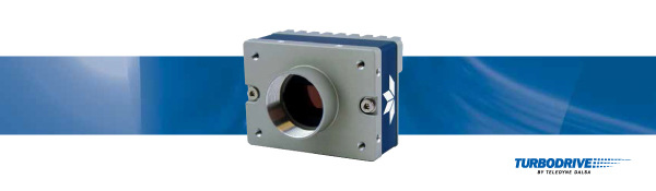 DALSA达尔萨    工业相机       G5-GM30-C4060