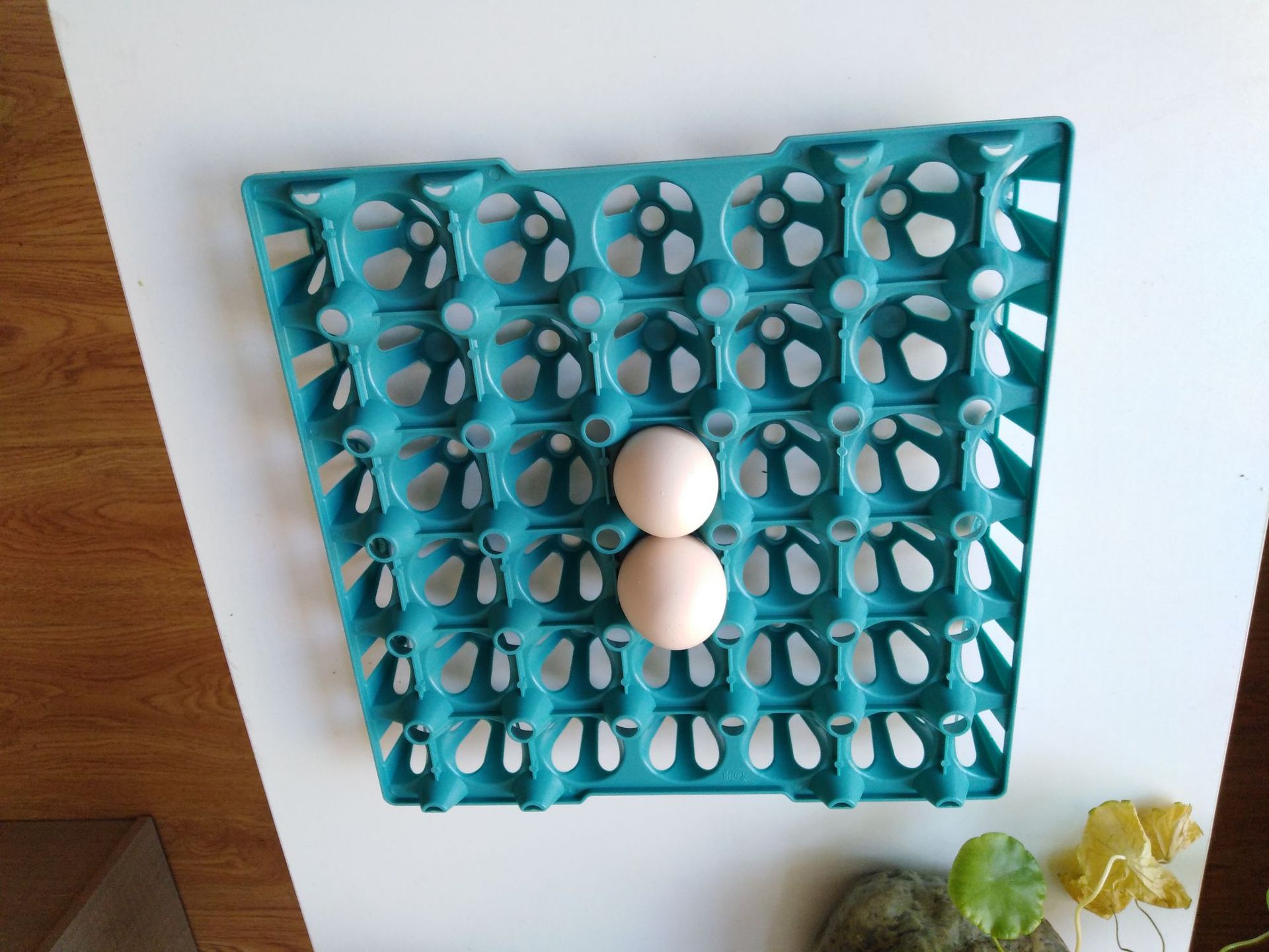 微信图片_20191212215252