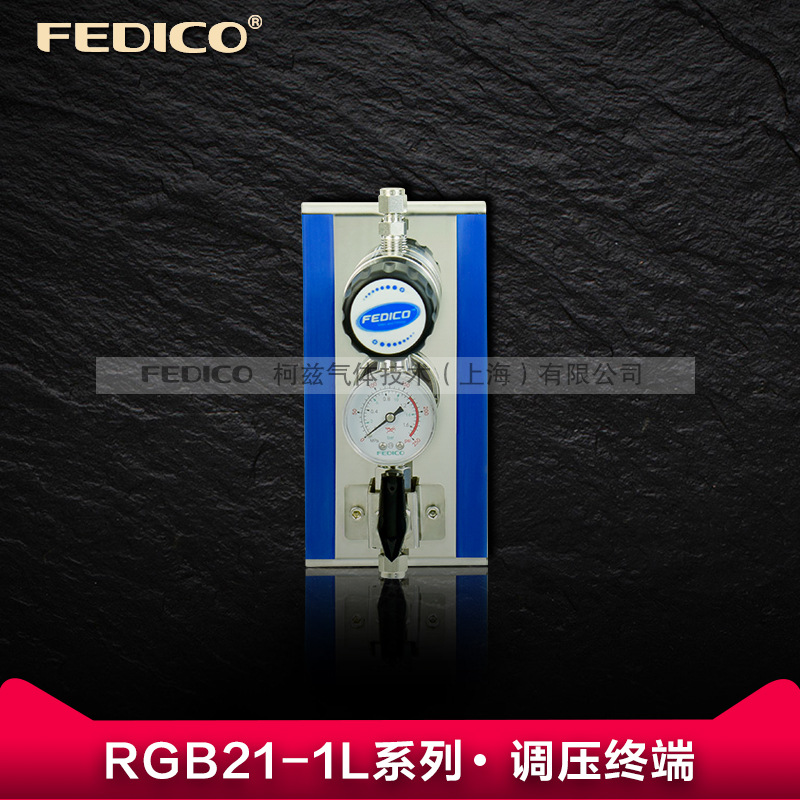 FEDICO特气调压终端管路末端减压阀实验室洁净气路二级阀门 食品