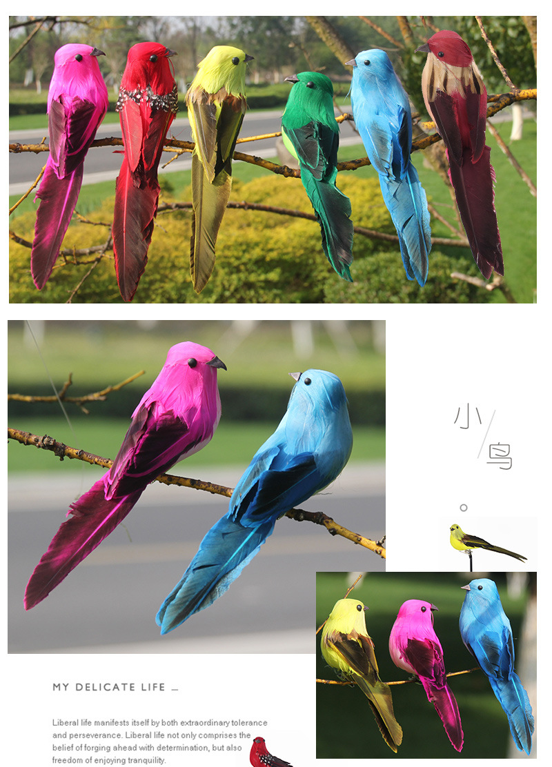 小鸟_11.jpg