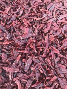 ���۳��ڼ�Ʒ�|�𽷸� ��؛���{ζԭζ�ϵ�