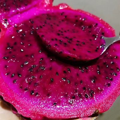 【海南金都一号红心火龙果5斤装】非蜜宝 越南广西白心火龙果包邮|ru