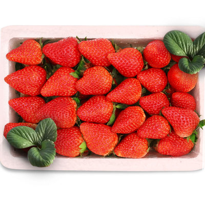 Base Season Season fresh selected Large fruit Creamy strawberry 3 pounds Gift box packaging Shunfeng