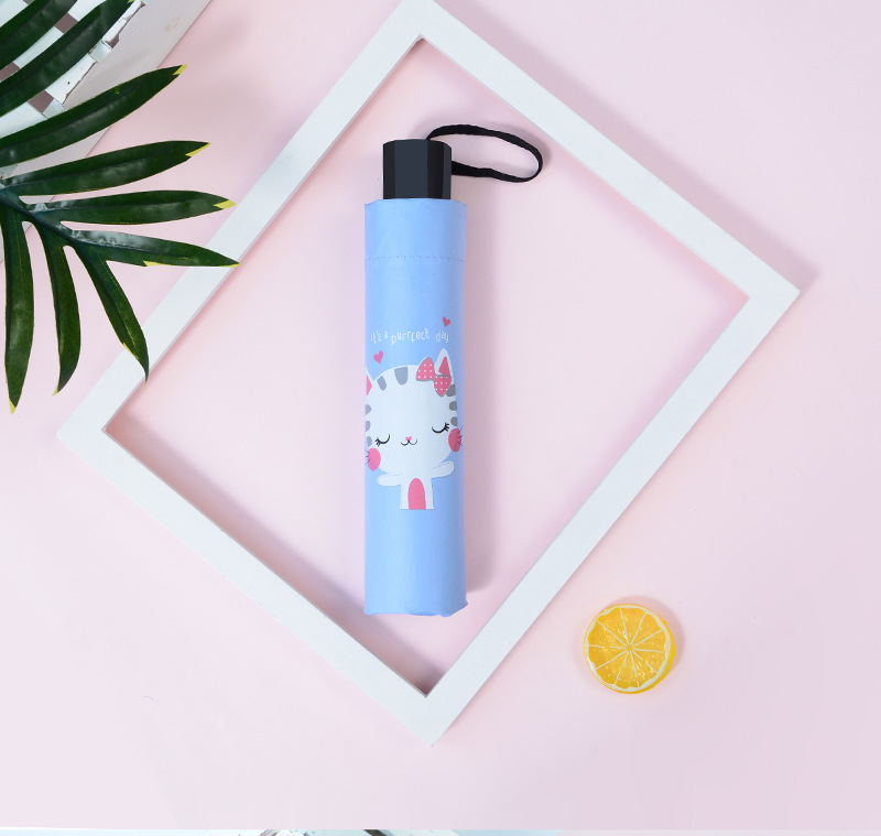 胖胖熊常规 (5).jpg