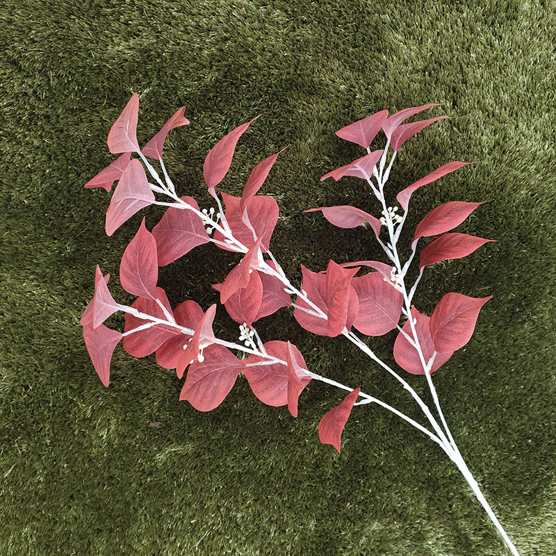 菩提叶添加颜色 橘色