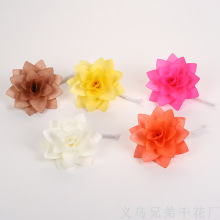 �¿�ߙn����ľƬ�����l��ˮ�� ���o����޹���� �bɻ�