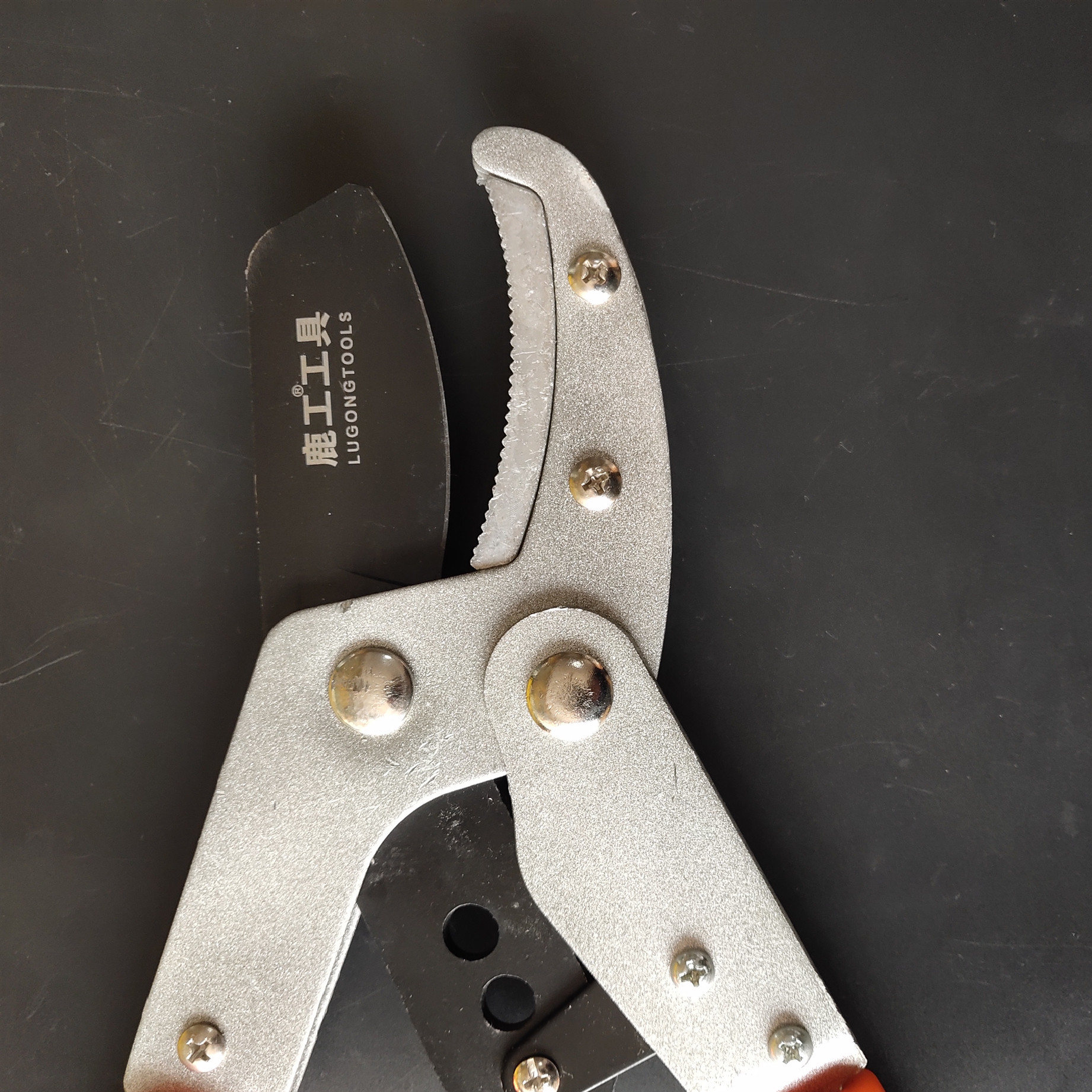 草坪剪绿化粗枝剪园艺剪刀修枝园艺 树枝剪可伸缩粗枝剪