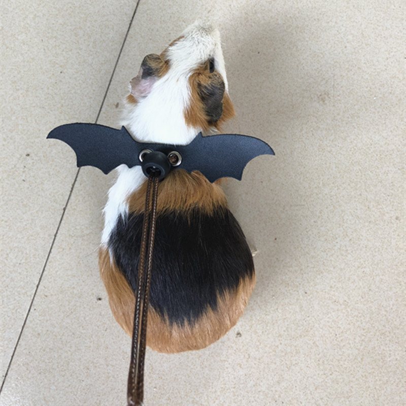 07E66D1C5EA9770FDA1A95205EC547