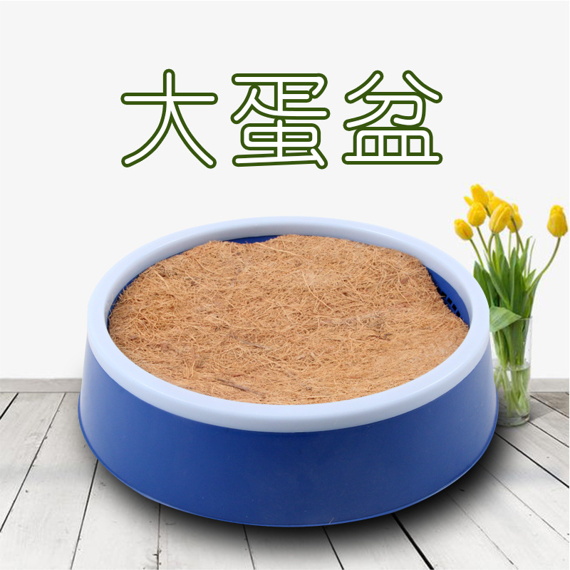 鸽子窝 信鸽巢 鸽具塑料孵盆 蛋窝 蛋盆 赛鸽 棕垫是垫子厂家直供