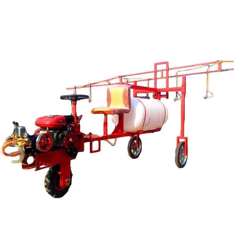 临泽：初夏田间管护忙 制种玉米促丰盈