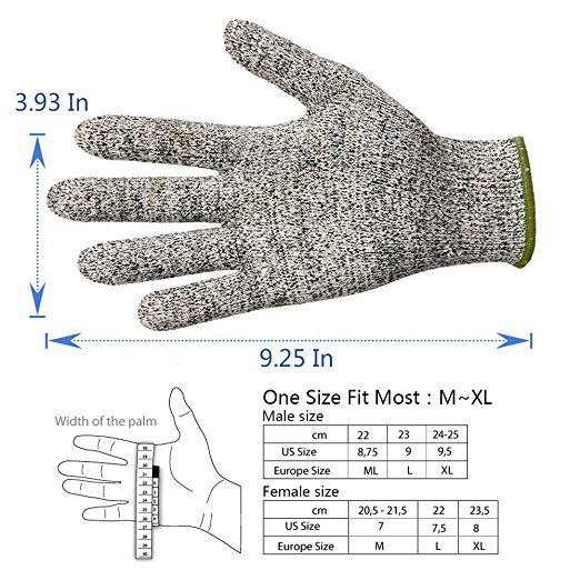 71OB5Xdx+IL._SX522_.jpg