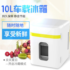 10L升家车两用车载冰箱迷你小冰箱宿舍迷你箱药品化妆品冷藏箱