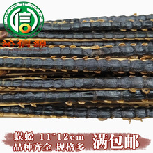 【满包邮】蜈蚣中条平均11~12cm/条干货散装产地直供沁信源中药材