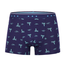 ��ʿƽ�ǃ�ѝ2�l���b��������͸����ʿ��ѝ���w�S�Ľ��ЏS��ֱ�N