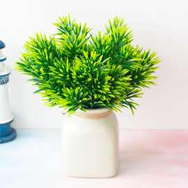 植物墙配材仿真植物 5叉水草罗汉草 花蕨类植