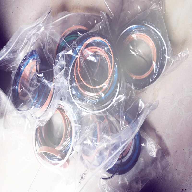 液压油缸 密封修理包 TTS  WEA THERDECK HATCH COVERS