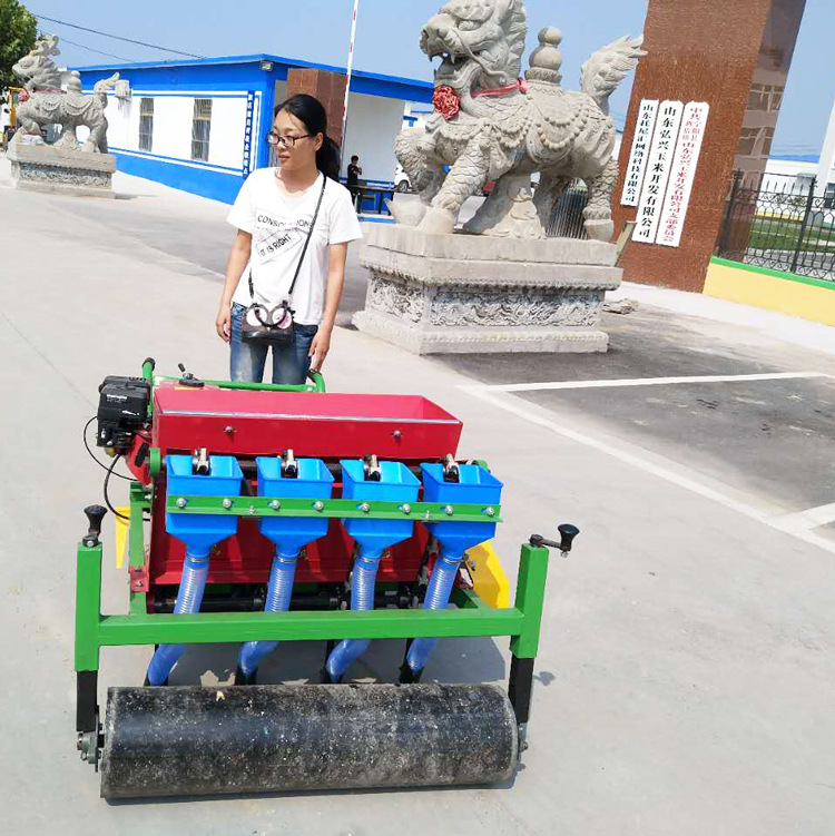 汽油自走式大蒜播种机云南独蒜种植机手推大蒜播种机