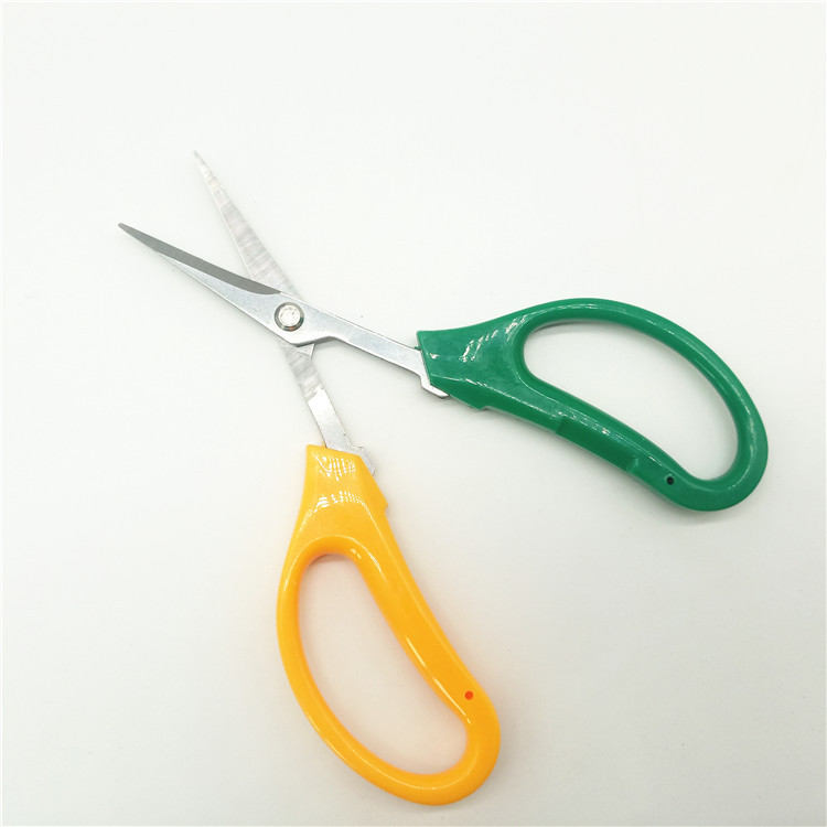 IMG20191012154800_副本