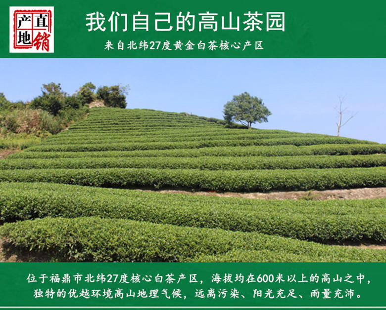 9424470768_493241570