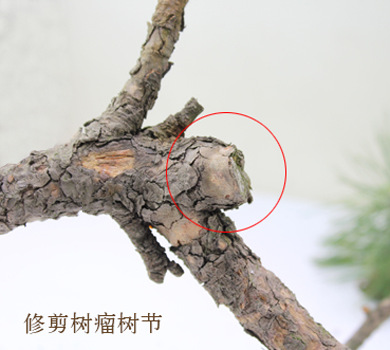 微信图片_20190213105232