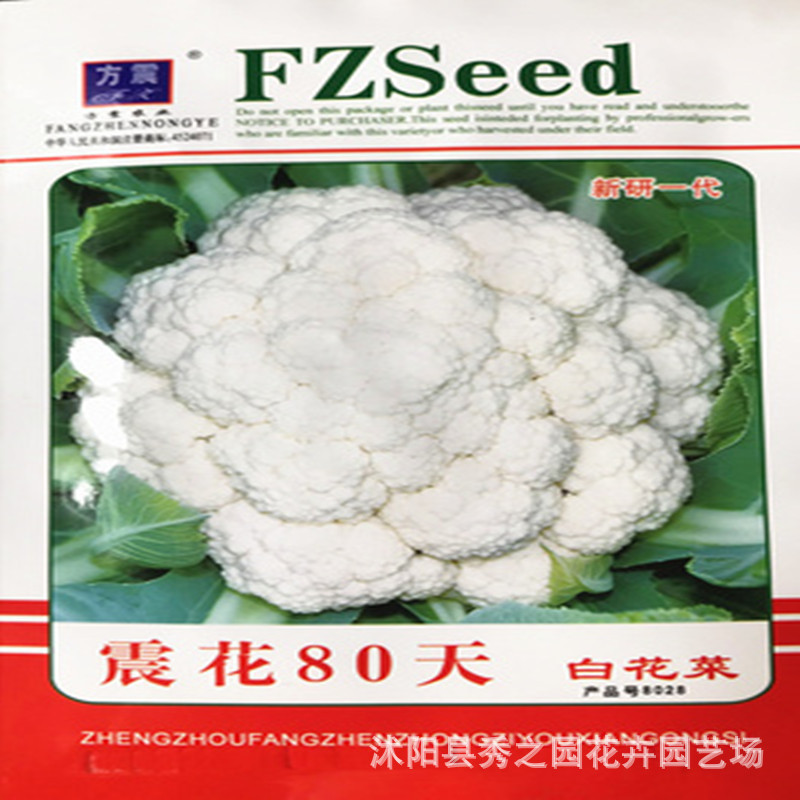 批发彩色蔬菜种子西兰花紫色花椰菜种子依紫千红粒量大批发 阿里巴巴