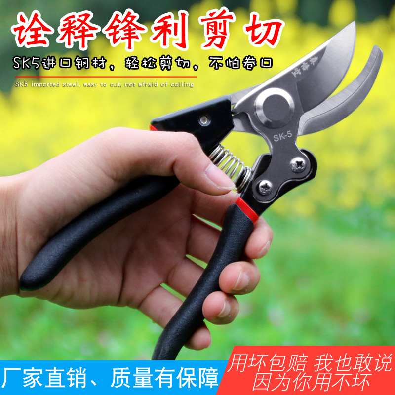 园艺修枝剪刀园丁剪花剪树枝剪刀家用果枝剪修花园林剪刀厂家直销|ru