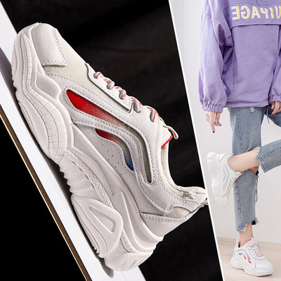 ins Ultra-fire gym shoes Spring new pattern Korean Edition Plush The thickness of the bottom Diddy Frenum Versatile shoes Women's Shoes