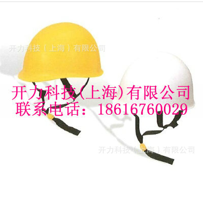 YS1250301 绝缘安全帽（日本 YS）