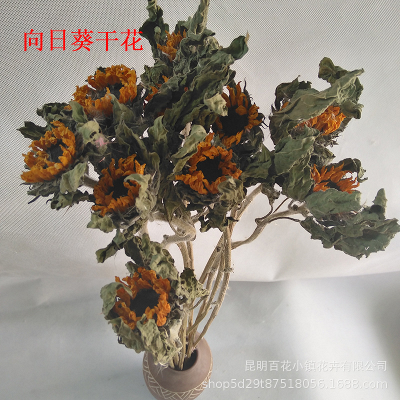 Sunflower Dried flowers wholesale Dried flowers of Pampas Home Furnishing decorate Photography Wedding Flower Factory sales