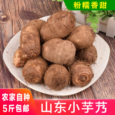 山东新鲜小芋头芋艿软糯 一件代发 支持多平台面单 24小时内发货