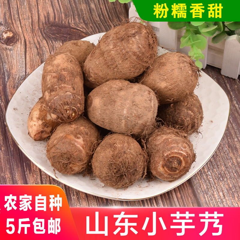 山东新鲜小芋头芋艿软糯 一件代发 支持多平台面单 24小时内发货
