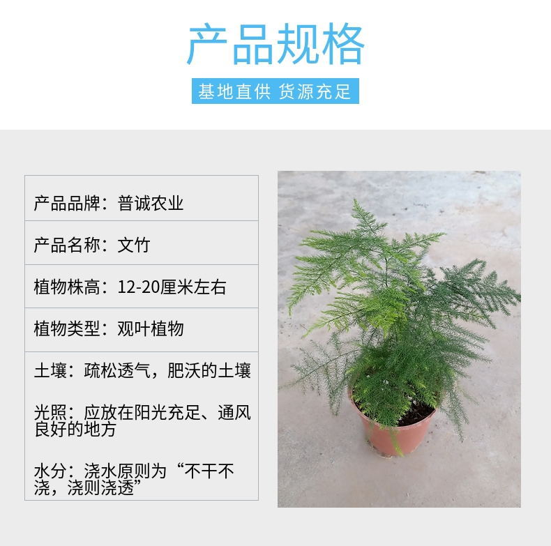 ��������5