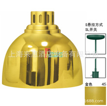 ոHatco DL-725-SL-45 ܉ʳﱣ؟() ИIO