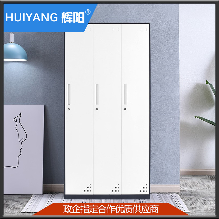 钢制办公文件柜铁皮柜档案资料柜财务凭证柜员工更衣柜带锁储物柜|ms